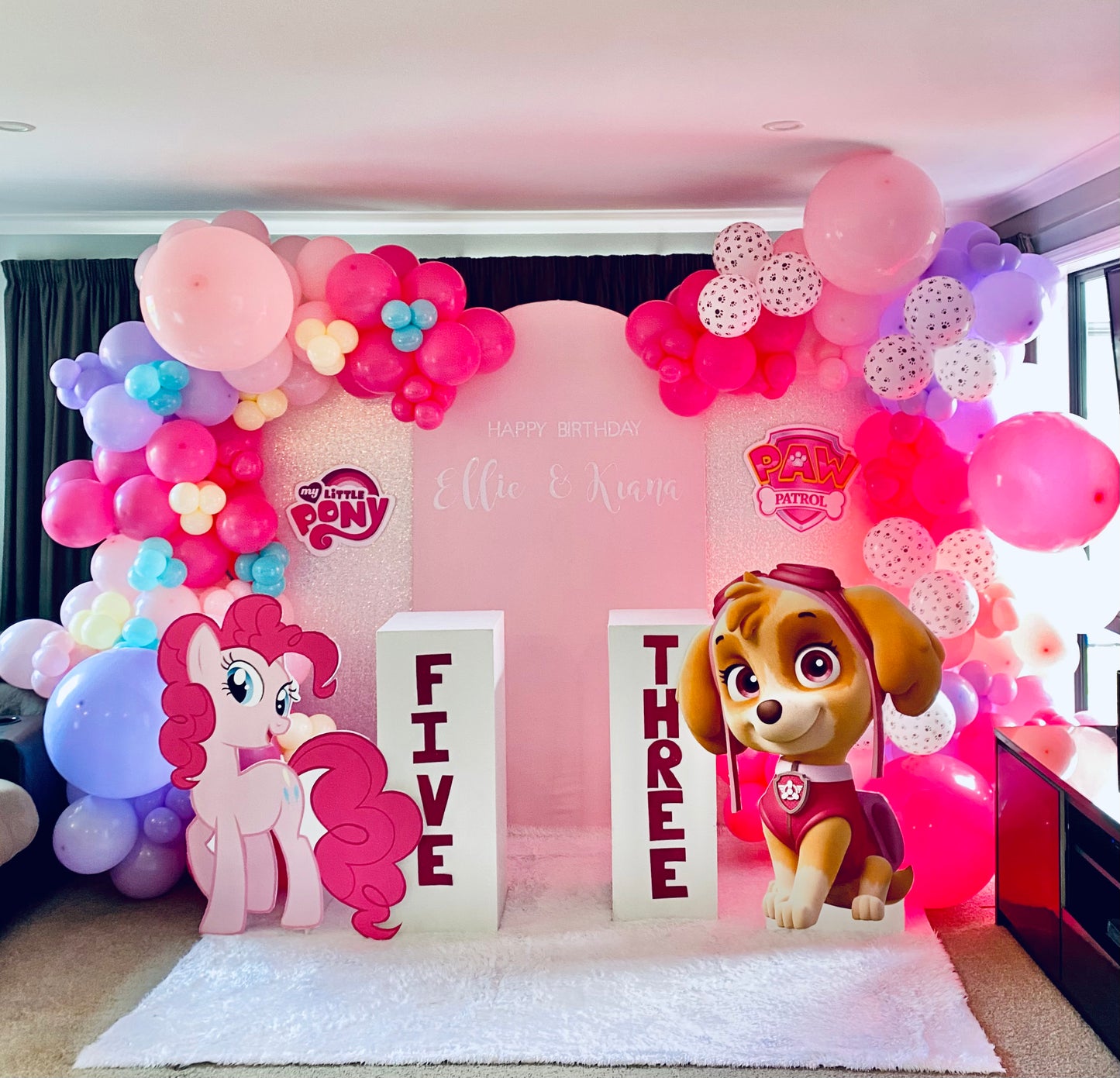 My Little Pony & Skye Joint Party